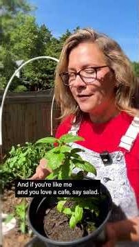 Grow Your Garden with Andy, Ep 015: Companion Planting