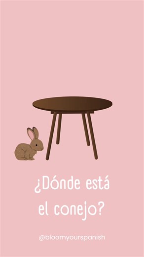 Fun Way to Learn Spanish: Where is the Bunny?