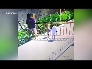 Boy lifted into air after getting head stuck in barrier gate in China