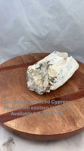 Fossilized Opalized Cypress Wood from eastern Hungary. Available for just $150.#PetrifiedWood #Minerals #Crystals #Rocks #Reiki. | Seth Cain | Facebook
