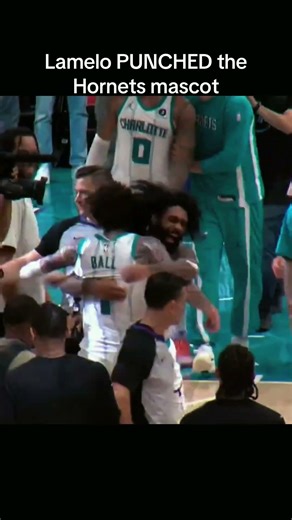 Lamelo Ball PUNCHED the Hornets mascot after the game 😭 #nbahighlights