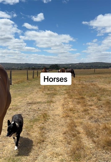 Understanding Girl Math: Financing Your Horse Passion