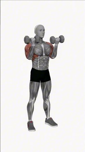 💪 Dumbbell Curl → Press → Extension 🔥 Total Arm Builder!