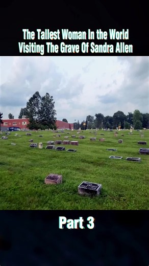 #gravetok #gravevisit #grave #gravers #explore #discovery | graves