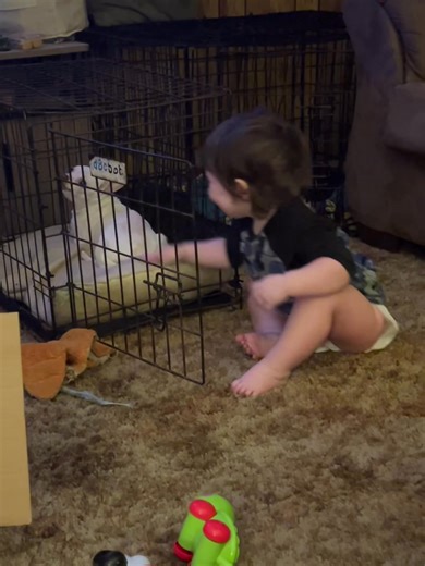 She has discovered Bucky 😭🤣😂🤣😂🤣 | Kathy Sharp