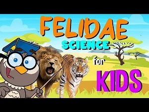 Felidae | Science for Kids