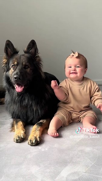 Dogs Protecting Babies: Heartwarming Moments of Dog and Baby Bonding