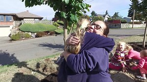 2.1K views · 56 reactions | GREEN TACOMA. We doubled the tree canopy...