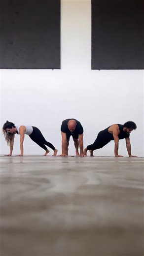 The plank builds full-body integration—core, shoulders, and spine working together. Walking in plank adds: - Anti-rotation core strength - Scapular stability under movement - Cross-body coordination - Joint and connective tissue conditioning It’s low-impact but trains stability, control, and strength that carry over to almost all bodyweight skills. | Primal Moves