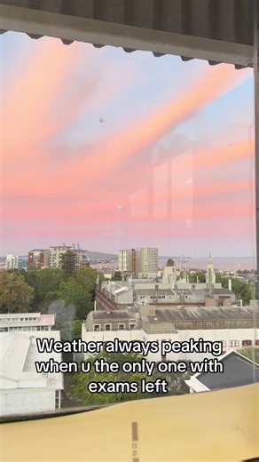 UOA Exam Stress and Matcha: Surviving Finals Week