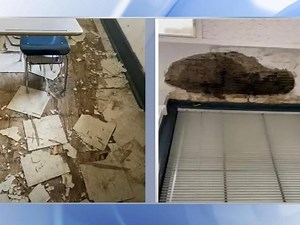 Mold, mice and cockroaches: Goldsboro HS students speak out over infested classrooms