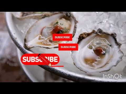 Mollusks Animals 🐚🐌🦪 | Sea Animals Name | Preschoolers & Toddler Learning Video #oceananimals 