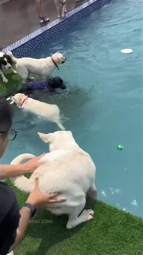 He’s Terrified of Water 😂