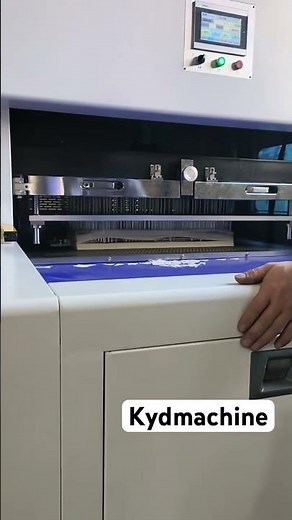 How does automatic blanking and stripping machine work