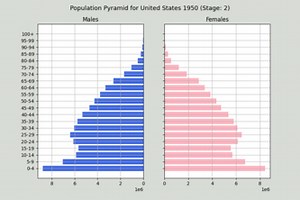 Demographic Transition Model Visualizer