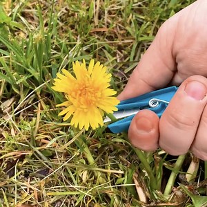 726K views · 597 reactions | DIY tools to make gardening easier! | 5-Minute Crafts Play | Facebook