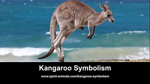 Kangaroo Symbolism