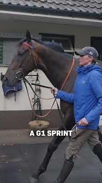 ✨ Fallen Angel✨ Night Raider | Karl Burke's Irish Champions Festival Big Guns!