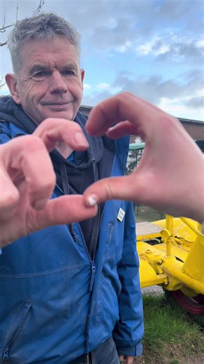 Celebrate Love This Valentine's Day at Finkley Down Farm