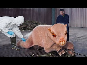 15 Hybrid Animals Created By Scientists You Won’t Believe Exist