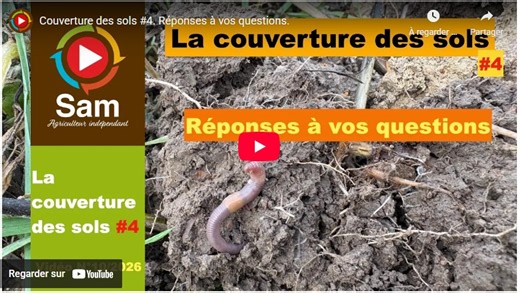 Couverture des sols #4. Réponses à vos questions. - WikiAgri - Actualité agricole