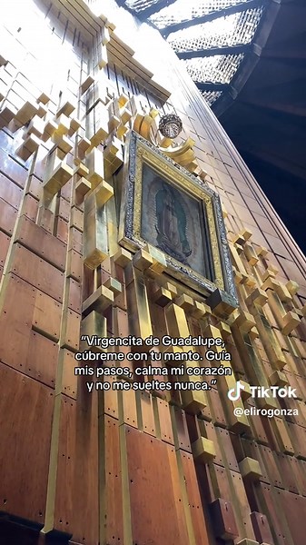#virgendeguadalupe #12dediciembre #catholic #godisgood #virgencita | Catholic Prayers
