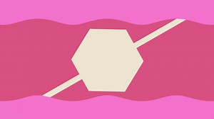 'Shapes' Motion Graphics
