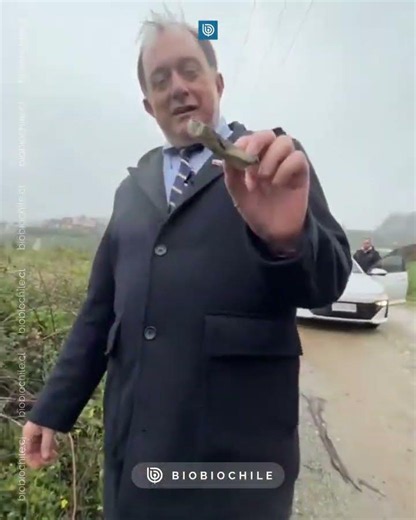 Poduje criticizes the Council of Monuments again and mocks ceramic shards: "They have a field day"