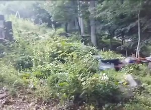 136K views · 1.1K reactions | DRONE GUN A video of a handgun being fired by a drone has been posted on Youtube. Apparently a US teen created the device. It's started fresh debate about the use of, and potential dangers of drones. | 7NEWS Perth | Facebook