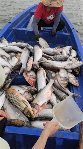 You Won’t Believe What’s Waiting Under the Lake! 🚤🐟 👀