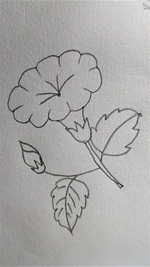🌸 Easy Flower Drawing Tutorial | Simple Pencil Sketch #art #ytshorts #viralvideo #trendingshorts