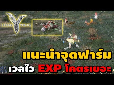 แนะนำจุดฟาร์ม EXP โคตรเยอะเวลไวๆที่ไหนบ้าง Day04 | Legend of YMIR