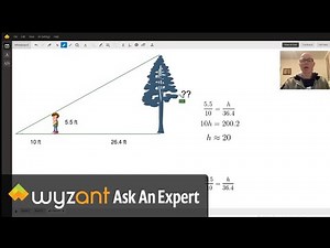 Similar Triangles Height of Tree