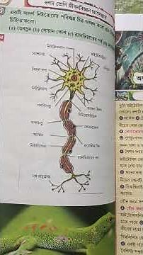 class 10 life Sciences 💯