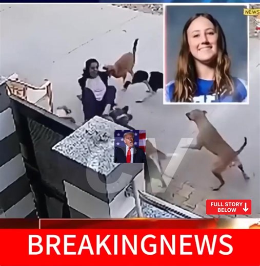 15-Year-Old Girl Tragically K*lled by Pack of Stray Dogs—Police Arrived Moments Too Late. Watch full video in the first comment!👇 | Inside USA