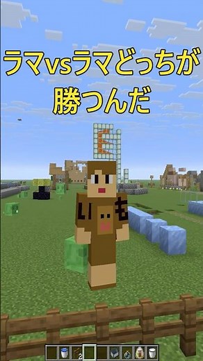 ラマ VS ラマ #minecraftsurvival #マイクラ #minecraft実況
