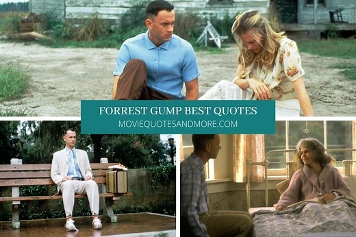 Forrest Gump Best Quotes - 'Stupid is as stupid does.'