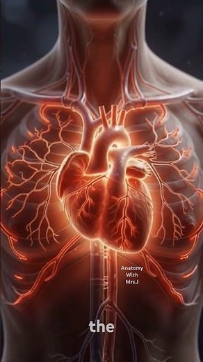 Your heart doesn’t need you to beat… it creates its own rhythm. #yourheart #happyhearts #anatomy