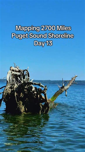12 reactions | Mapping 2700 miles of Puget Sound Shoreline. These giant logs are so important. #pugetsound #conservation #water | EarthViews Conservation Society | Facebook