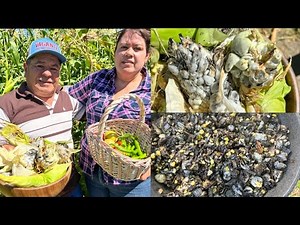 How to Prepare Huitlacoche, a Mexican Delicacy!🌿💯🌽