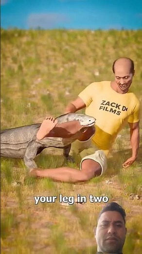 Komodo Dragon Attack Survival Guide Do’s and Don’ts | Education Films