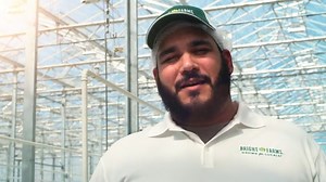 Meet BrightFarms: The Freshest, Tastiest, & Most Responsibly Grown Local Produce