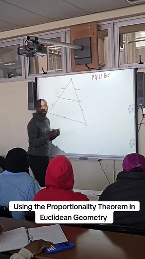 Proportionality Theorem in Euclidean Geometry