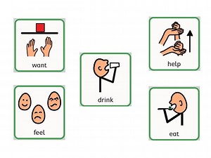Core Vocabulary Verbs