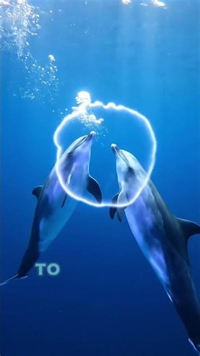 Dolphins Call Each Other by Name 😳🐬