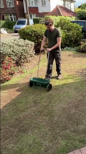 Transforming this lawn using the landzie compost spreader.#transformation #gardening #satisfying