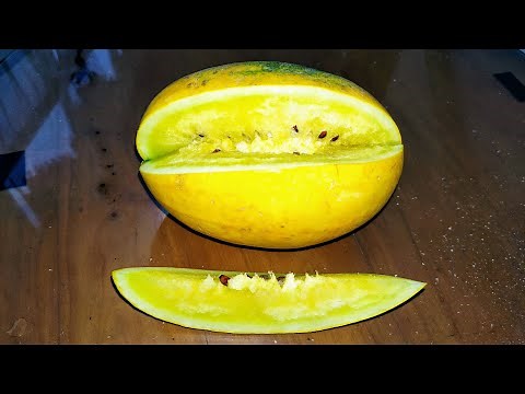 Yellow Watermelon (Citrullus lanatus) - Yellow inside and outside