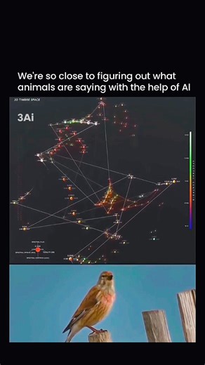 Artificial Intelligence | AI on Instagram: "For most of human history, animal sounds were just noise to us. But with all the advances in Al and brain computer interfaces, we're close to figuring out what all the 'noise' actually means. The video shows a bird making sounds while Al analyzes the audio in detail. The visuals represent patterns in pitch, rhythm, and repetition over time. Al can spot structure in these sounds that humans usually miss. By linking sound patterns to behavior and context