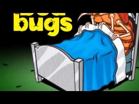 Sml Song: Toad- bed squeak