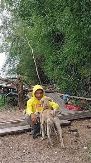 Dogs and breeding continue